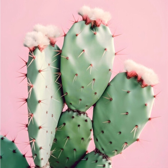 WELCOME! - Picture 1 of 2